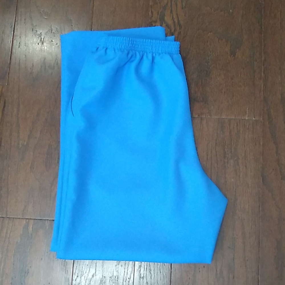 Alfred Dunner Periwinkle Pants Size 14